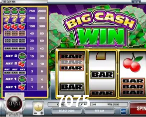 A Emoção da Loteria na 7075: Uma Chance de Mudança de Vida